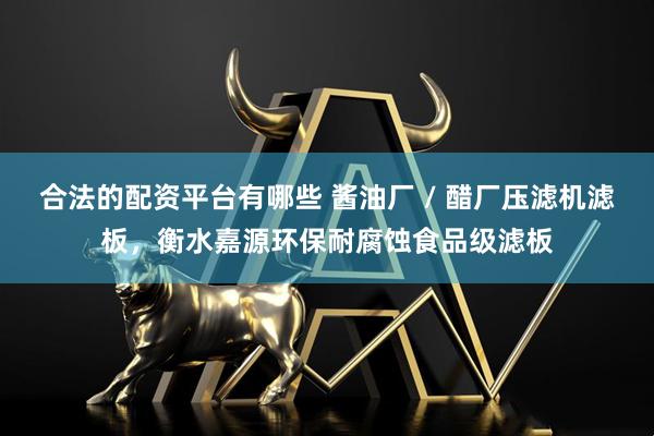 合法的配资平台有哪些 酱油厂 / 醋厂压滤机滤板，衡水嘉源环保耐腐蚀食品级滤板